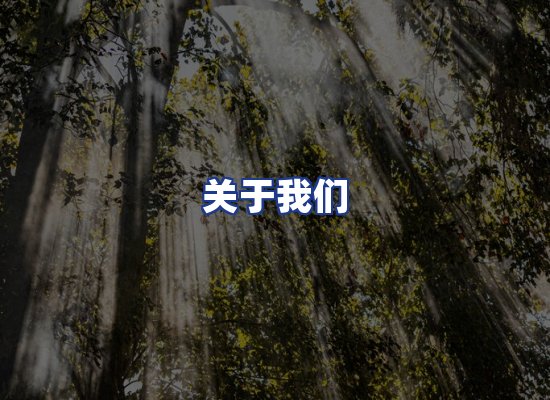 专业团队